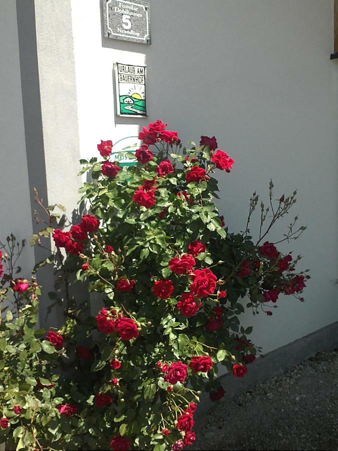 Schnatterhof Vila Lambrechten Exterior foto